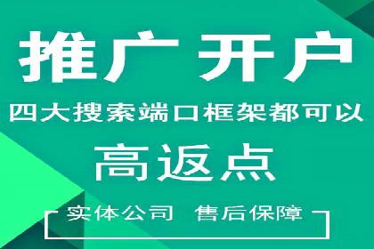 案例研究：SEM推广如何提升品牌知名度